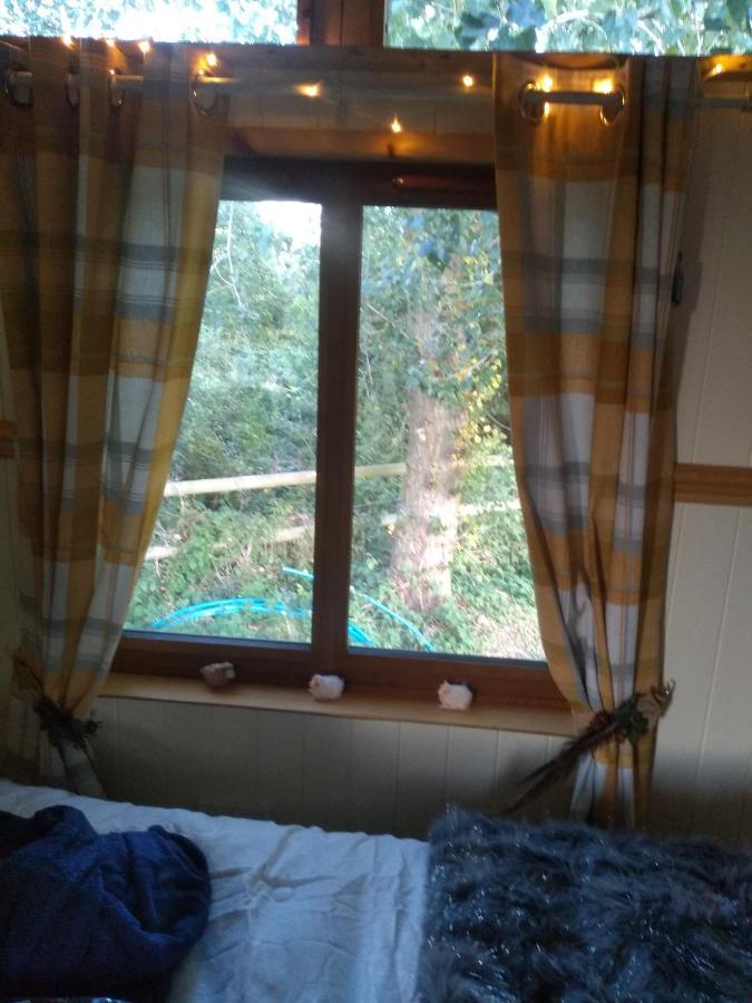 Glamping Malvern Shepherd Hut Zewnętrze zdjęcie